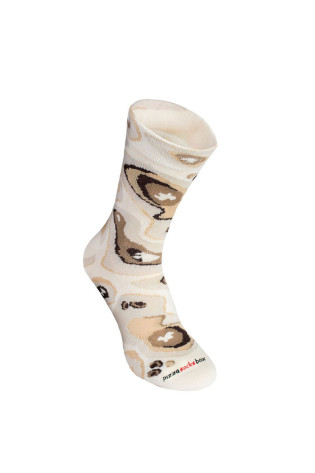 Rainbow Socks Pizza 4 Poros Capricciosa