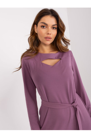 Suknelė, violetinė 2