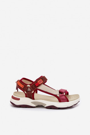 D.Franklin DFSH406003 bordo spalvos moteriškos basutės su lipdukais