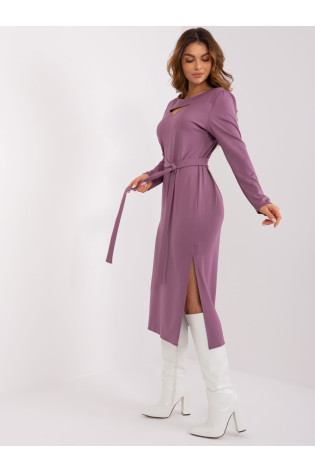 Violetinė suknelė 2