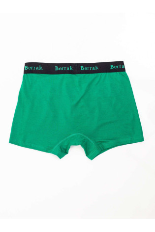 Bokseriniai šortai, žalia 2